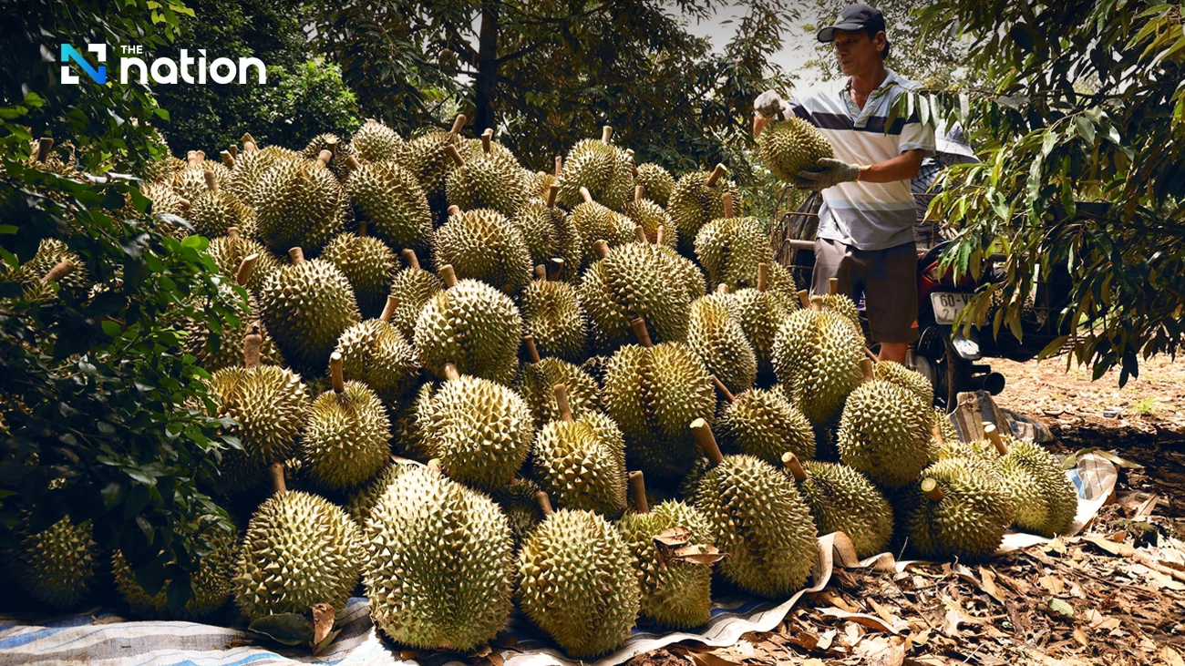 Ekspor Buah dan Sayur Vietnam Capai Rekor Tertinggi Rp24 Triliun, Didukung Durian Segar